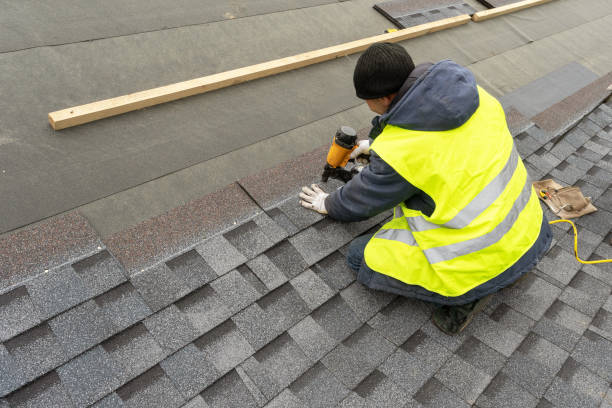 Best Metal Roofing Contractor  in Dupont, WA