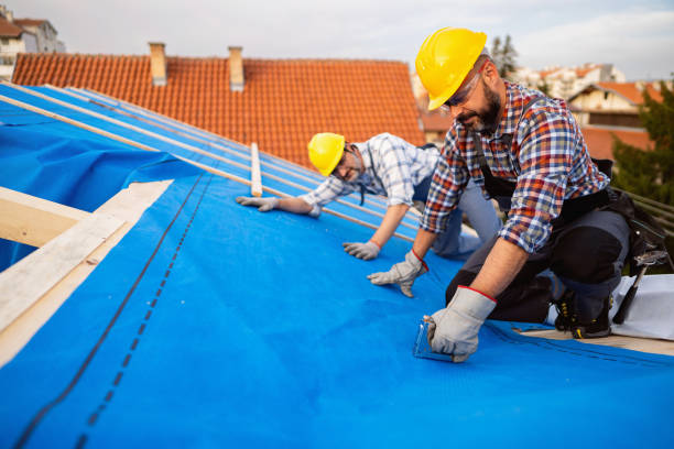 Best Roof Leak Repair  in Dupont, WA